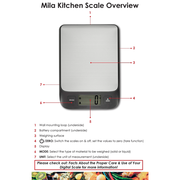 Stainless Steel Portion Scale (Mila) (50% Off) #2